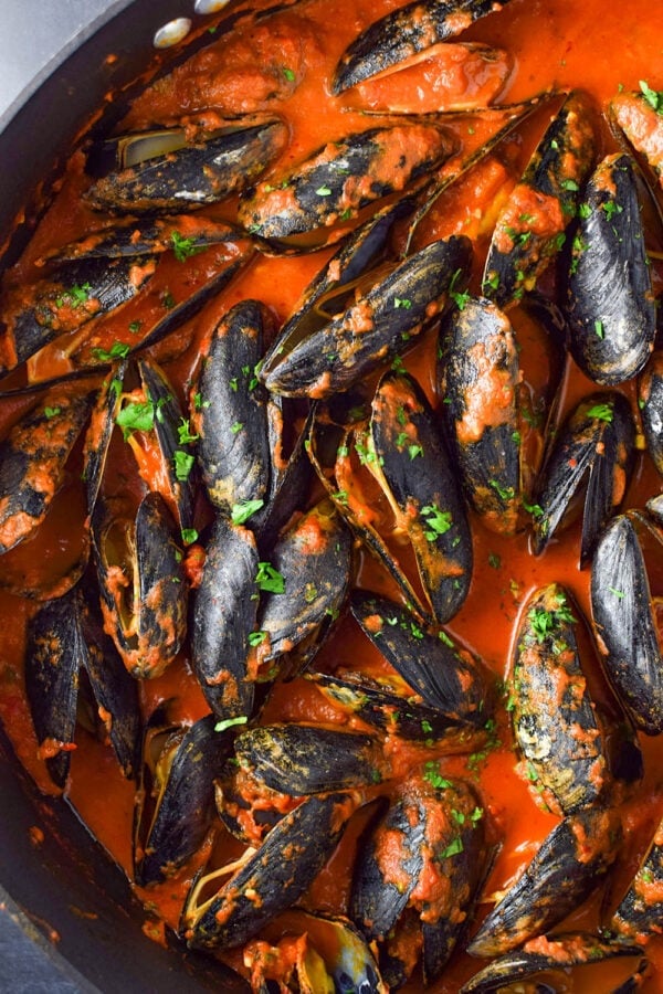 Mussels in Red Sauce Recipe Kitchen Swagger